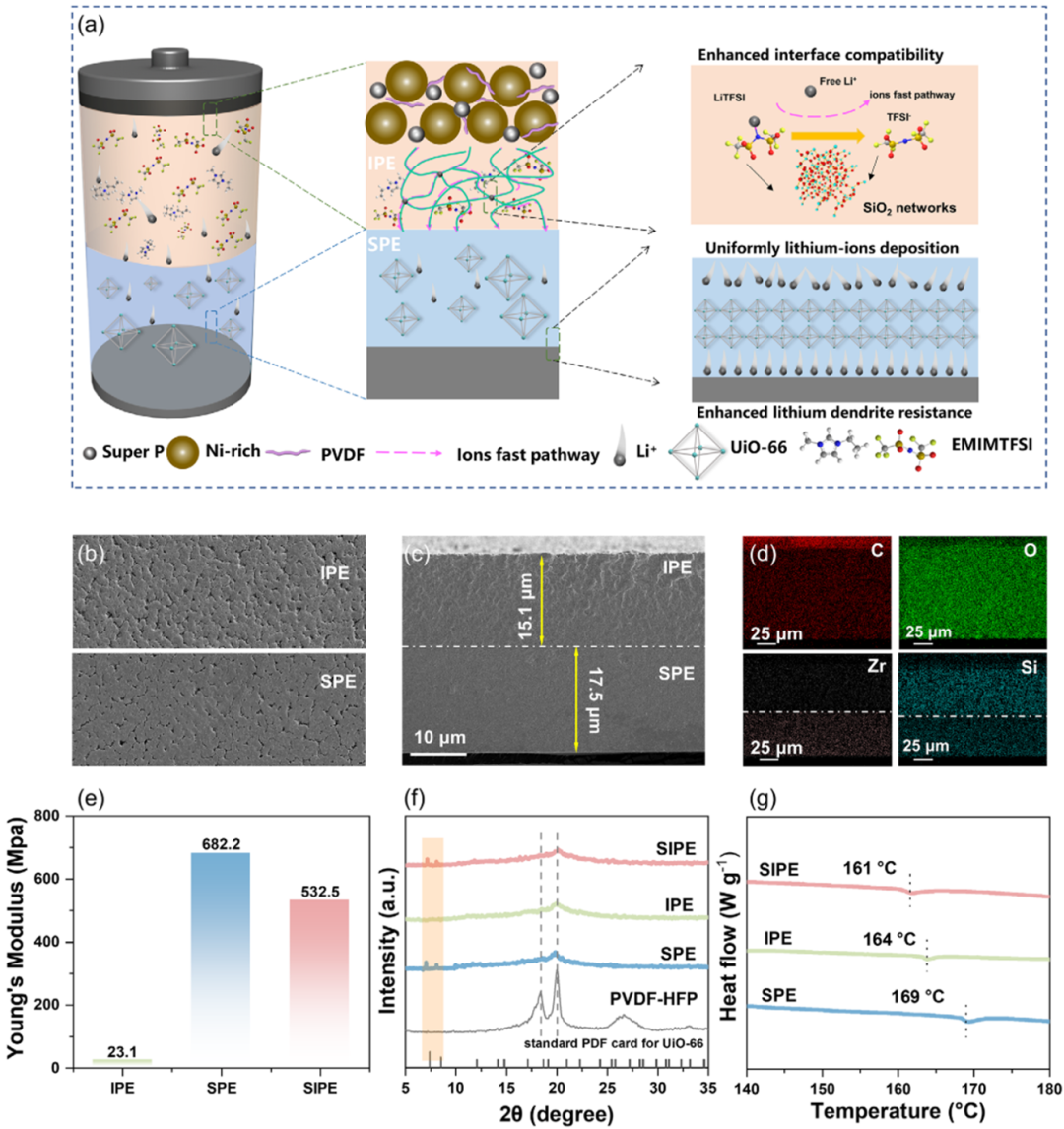 SIPE的設計和機制 離子液體賦能不對稱固態電解質_離子液體【默尼離子液體定制】